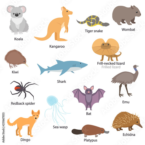 Australian animals set with titles. Wildlife of Australia. Koala, kangaroo, tiger snake, bat, wombat, kiwi, etc. Collection of different species of animals. Isolated vector illustration