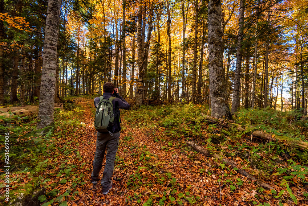 Back view male photographer in bright autumn forest Back view male photographer in bright autumn forest