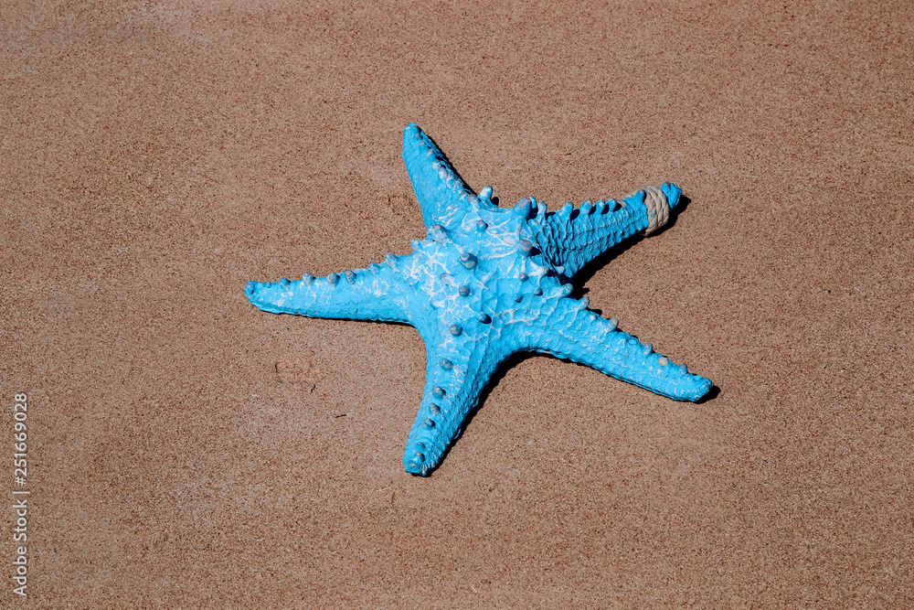 Flat lay blue starfish on the sand Flat lay blue starfish on the sand