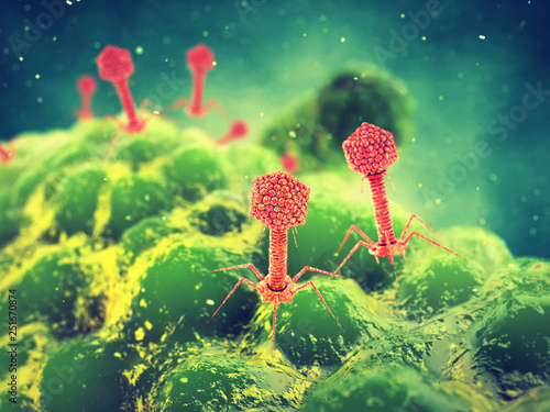 Bacteriophage viruses attacking bacteria, Infectious disease photo