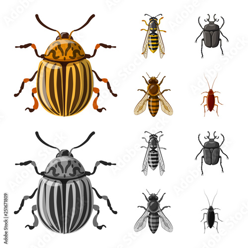 Vector illustration of insect and fly symbol. Set of insect and element vector icon for stock.