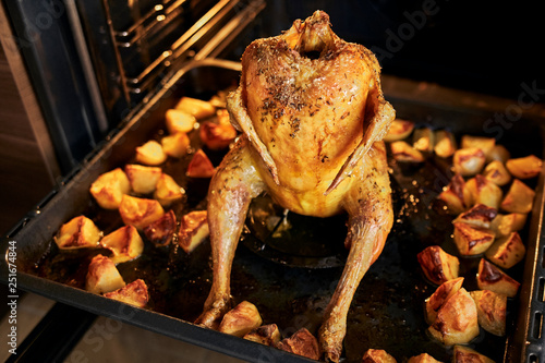 Fotografie chicken in a roasting pan in oven