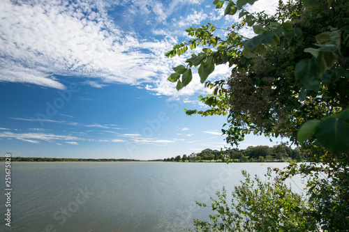 Fototapeta Naklejka Na Ścianę i Meble -  Lake view surrounded by trees