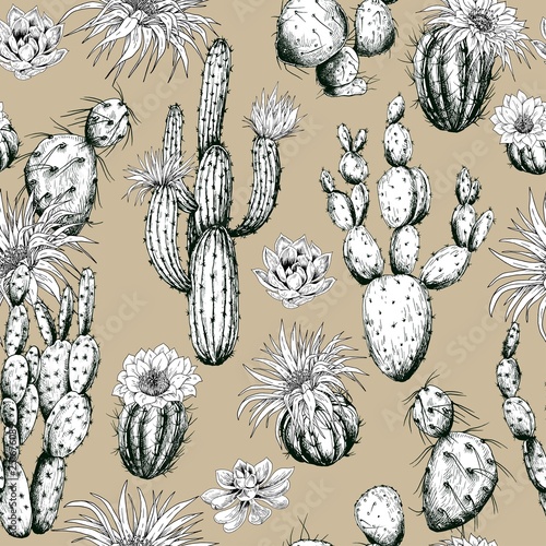 Seamless pattern with succulents and cactus plants with flowers. Hand drawn vector on beige background.