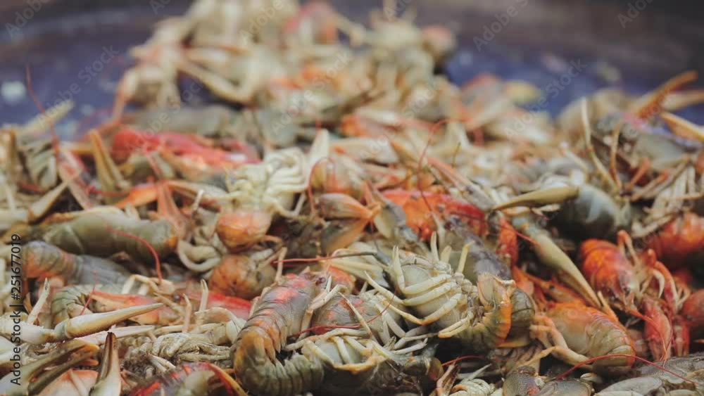 Crayfish cooking in a big cauldron. Cooking process of sea food at the street food festival. Lobsters roast in a big saucepan. Chef preparing lobsters in a big wok, close up. Crayfish cooking in a big cauldron. Cooking process of sea food at the street food festival. Lobsters roast in a big saucepan. Chef preparing lobsters in a big wok, close up.