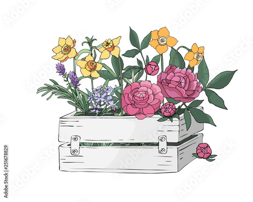 Garden wooden box with herbs and flowers.