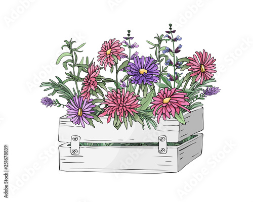 Garden wooden box with herbs and flowers.