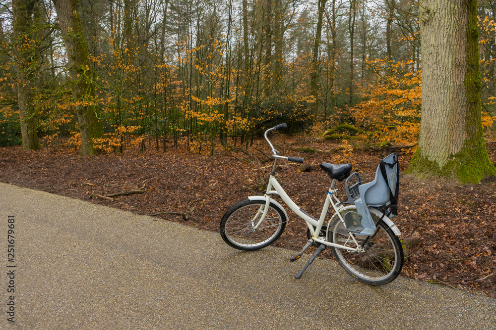 Singe white blue bike standing side view outside in the woods. Autum winter trees background.