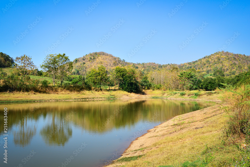 Pond on summer season forest with agricultural area and mountain background sunny day blue sky