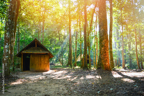 Old historic village wooden house cabin cottage in the green forest with tree surround © Bigc Studio