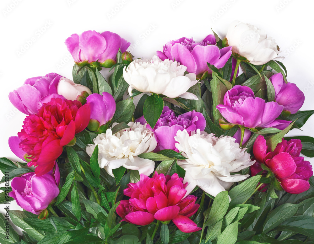 Bouquet of pink and white peonies isolated on white background. Top view. Flat lay. Bouquet of pink and white peonies isolated on white background. Top view. Flat lay.