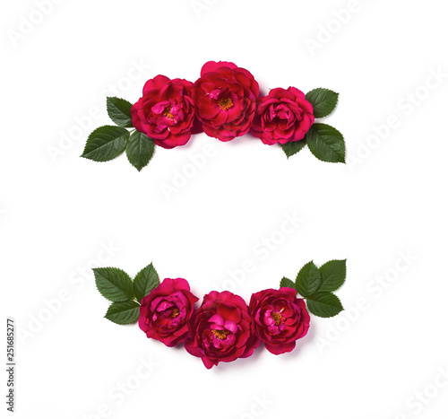 Floral frame wreath made of pink rose flowers and leaves isolated on white background. Flat lay. Top view.