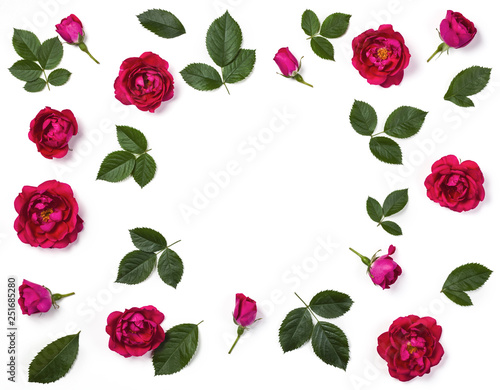 Floral frame made of pink rose flowers  buds and leaves isolated on white background. Flat lay. Top view.