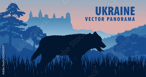vector panorama of Ukraine with grey wolf