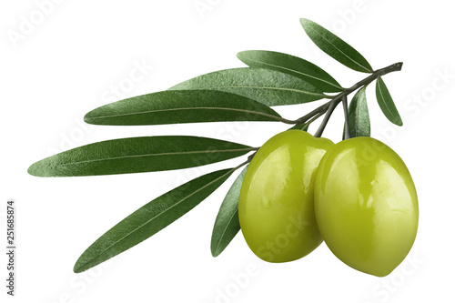 Olive branch with two delicious green olives, isolated on white background