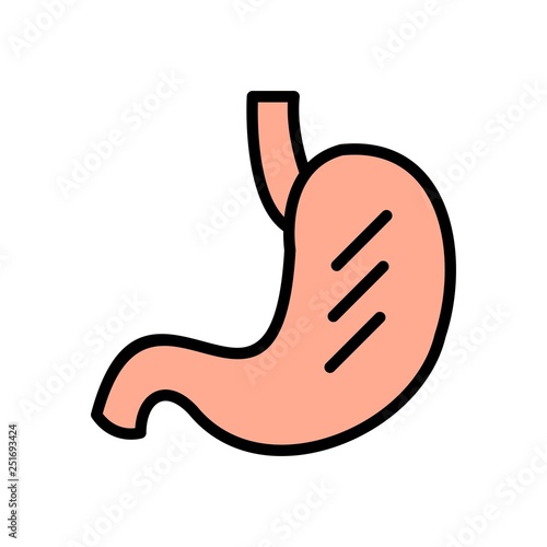 Vector Stomach Icon