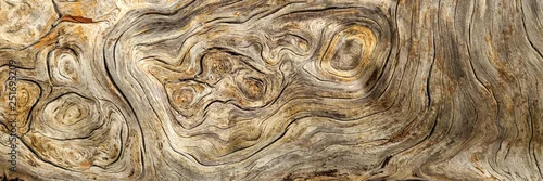 Panel kuchenny z motywem Burlwood Stump