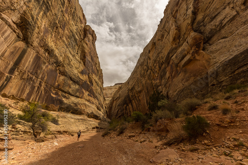 Trail Runner Inside a Large Canyon, Utah