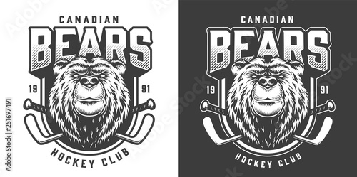 Vintage serious bear sport mascot print