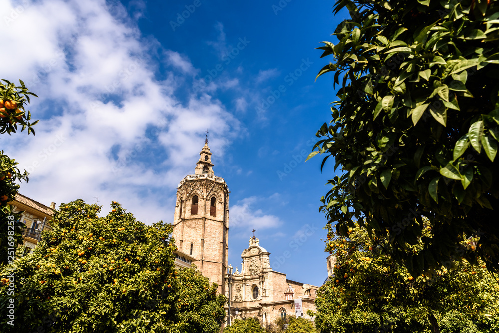Valencia, Spain - February 24, 2019: Plaza de la Reina a sunny spring day during Fallas, with the Cathedral of Valencia and its tower Miguelete.
