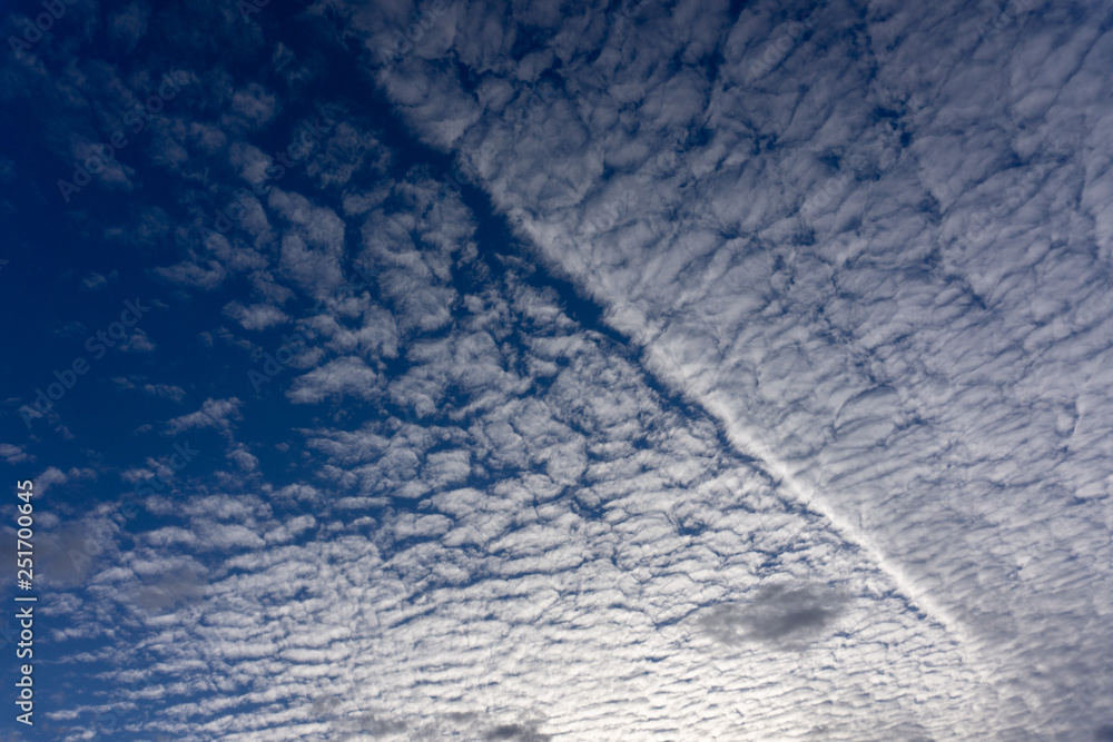 Fototapeta premium うろこ雲