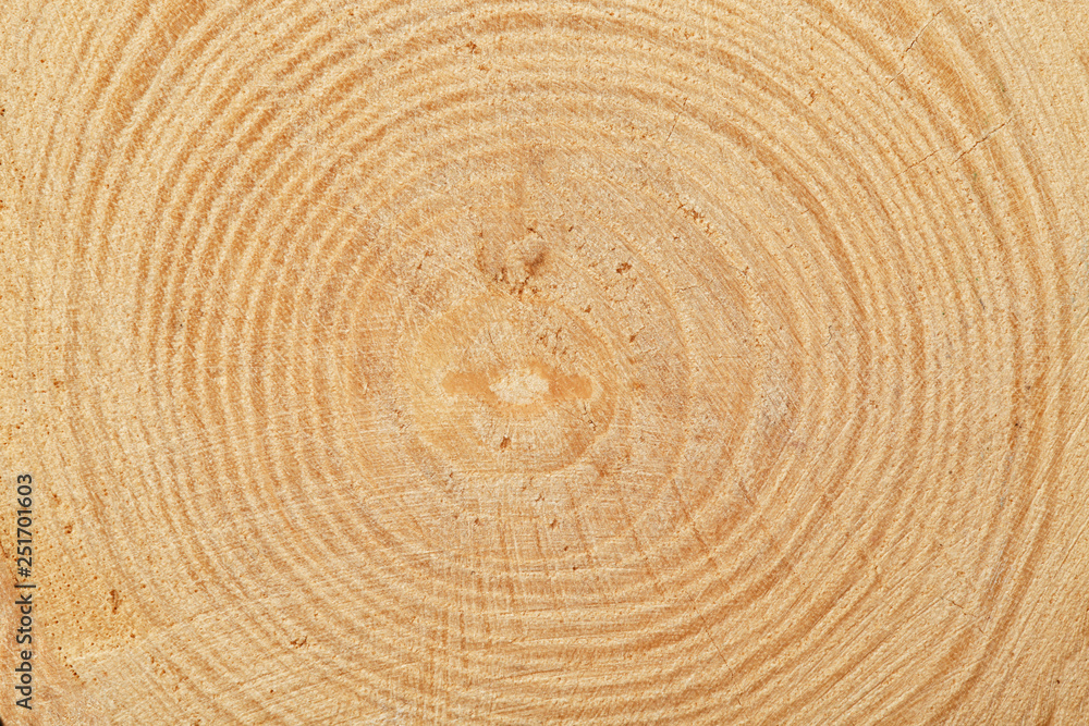 Texture of wooden surface as background, top view Texture of wooden surface as background, top view