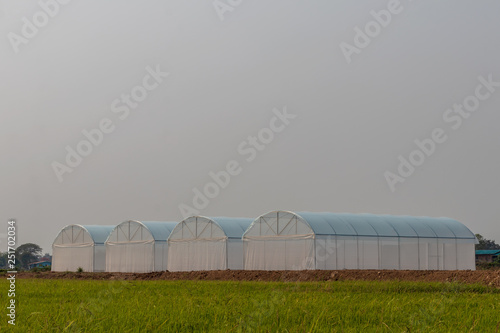 Empty white dome waiting for planting. © kaentian