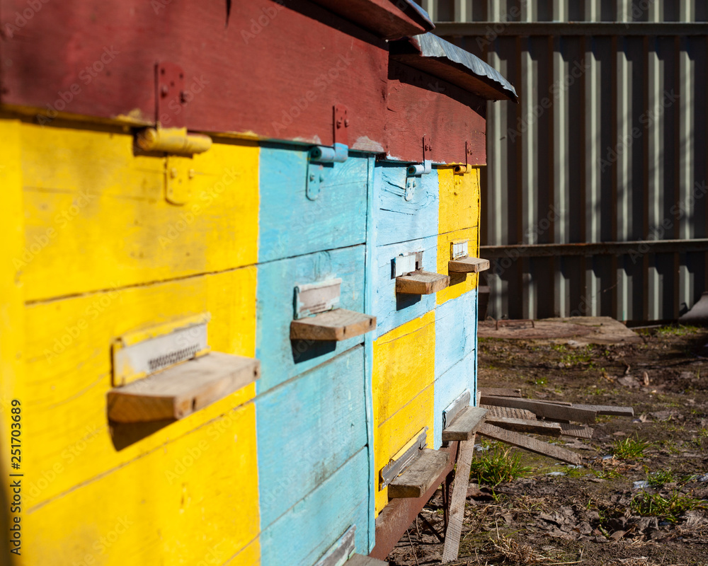 home beehive for bees and honey, yellow and blue home beehive for bees and honey, yellow and blue