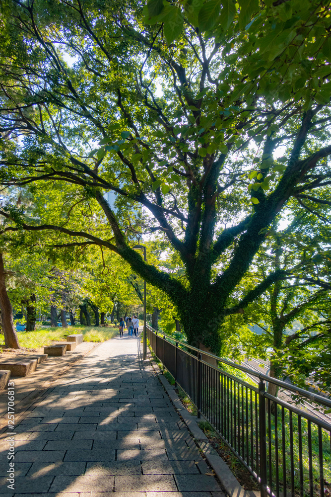 Obraz premium 飯田橋 外濠