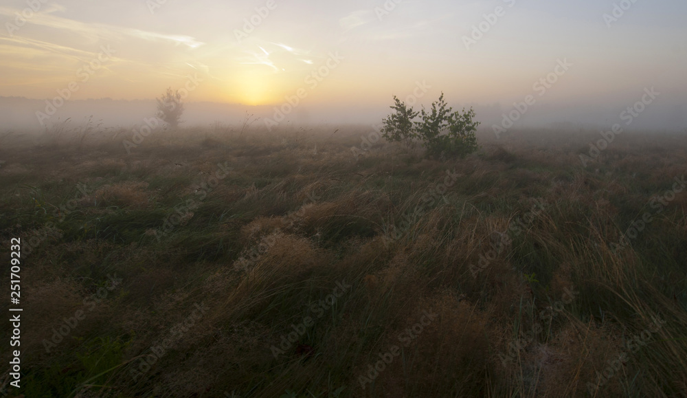 Landscape photography in fog