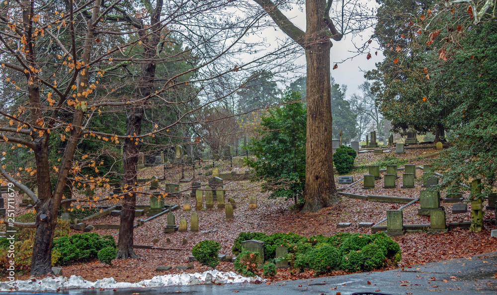 autumn in a park cemetery