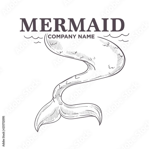 Mermaid tail isolated monochrome sketch business icon