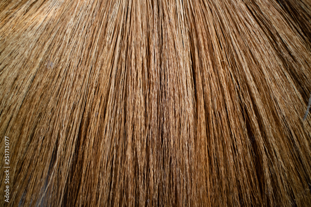 Broom real full Broom real full
