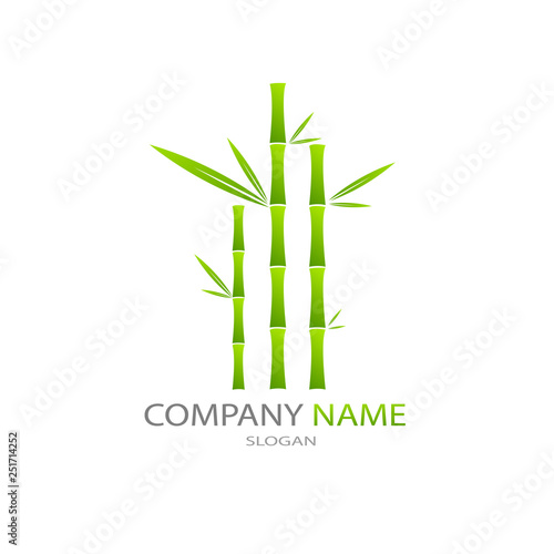Fototapeta Naklejka Na Ścianę i Meble -  Green bamboo Vector illustration