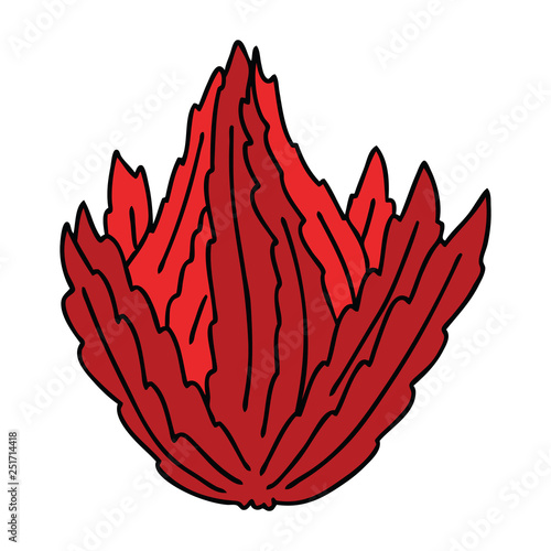quirky hand drawn cartoon sea weed