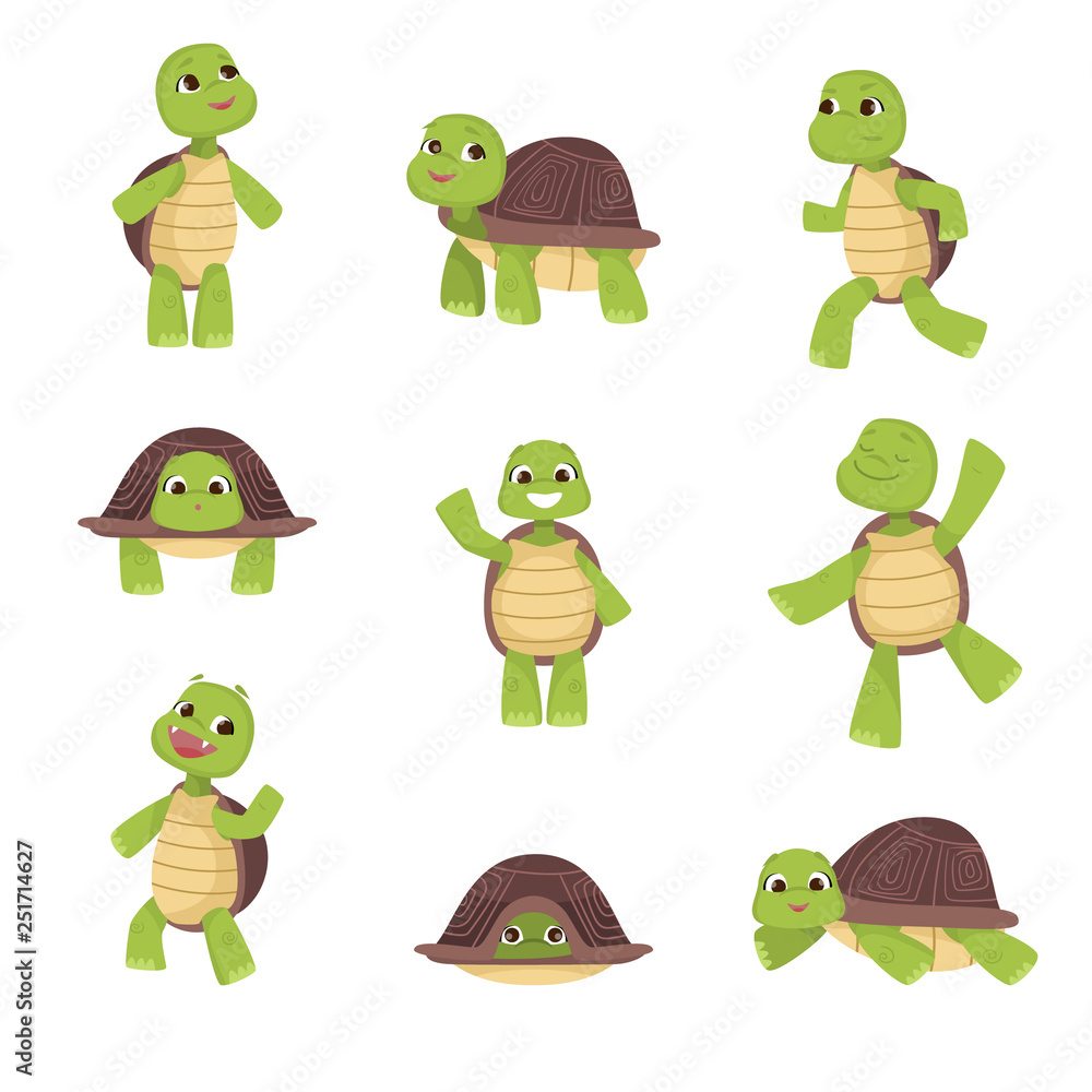 Fototapeta premium Set of cute green turtles with brown shell in various poses isolated on white background