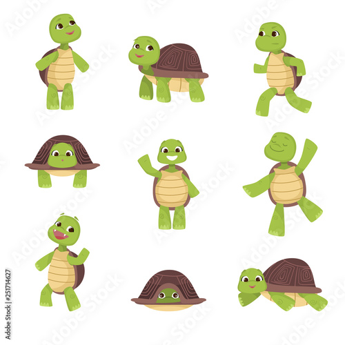 Set of cute green turtles with brown shell in various poses isolated on white background