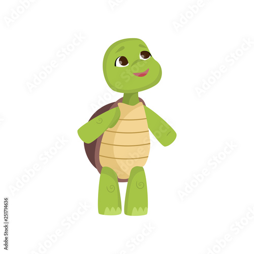 Cute little turtle looks up standing on hind legs isolated on white background