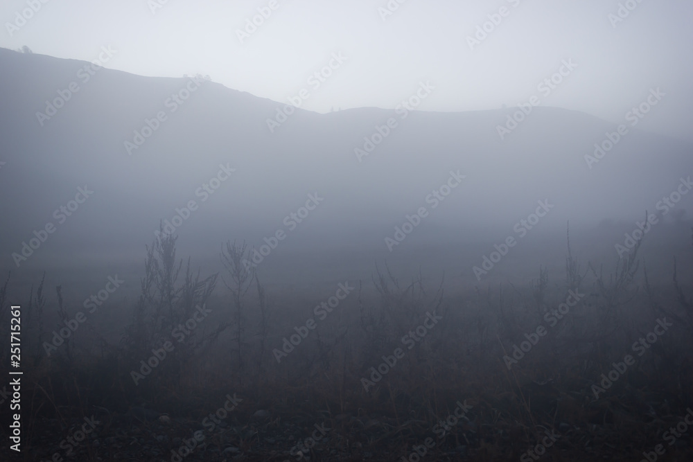 Morning mist in early morning in field