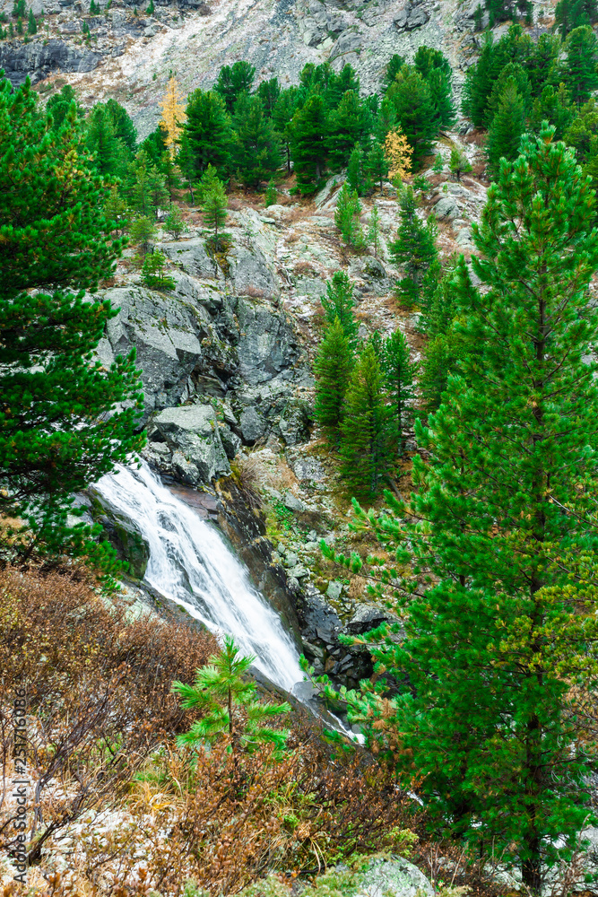 Waterfall in rocks with pines on shore. River in coniferous forest Waterfall in rocks with pines on shore. River in coniferous forest