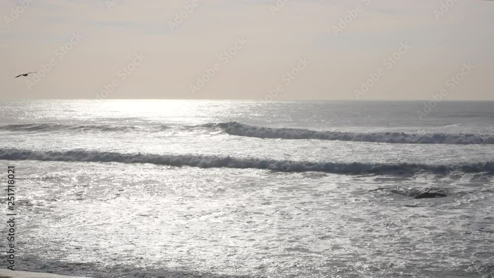 Wide angle view over ocean with sun reflecting on water and fog in distance as a bird flies over the sea Wide angle view over ocean with sun reflecting on water and fog in distance as a bird flies over the sea