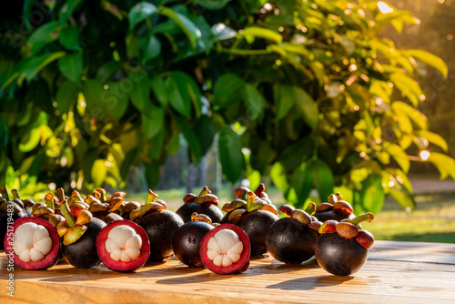Fotografie Fresh ripe mangosteen fruits on wooden table with mangosteen tree background