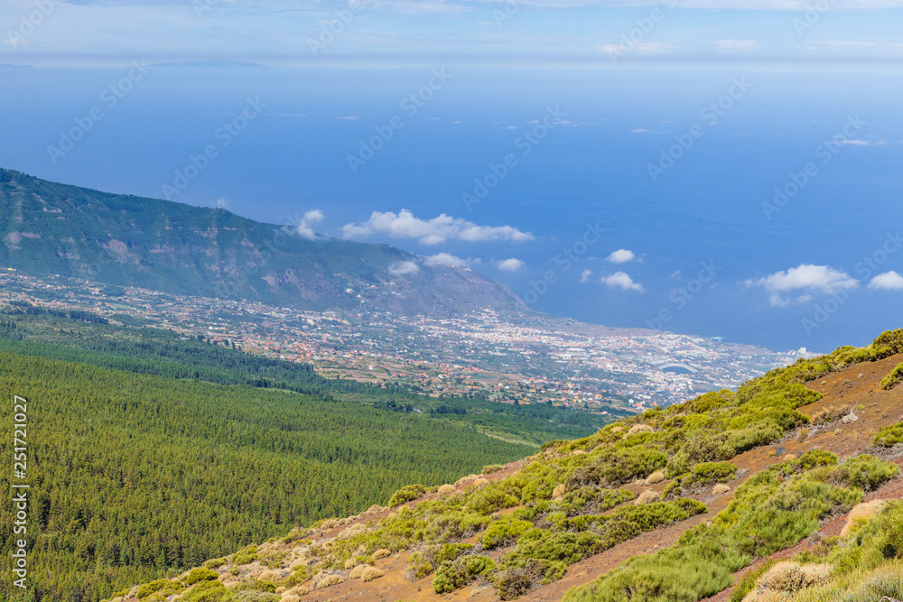 Naklejka premium Magnificent view near the Teide volcano. Las Cañadas del Teide. Tenerife. Canary Islands..Spain