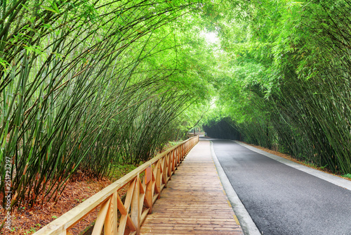 Scenic road and wooden walkway among green bamboo trees