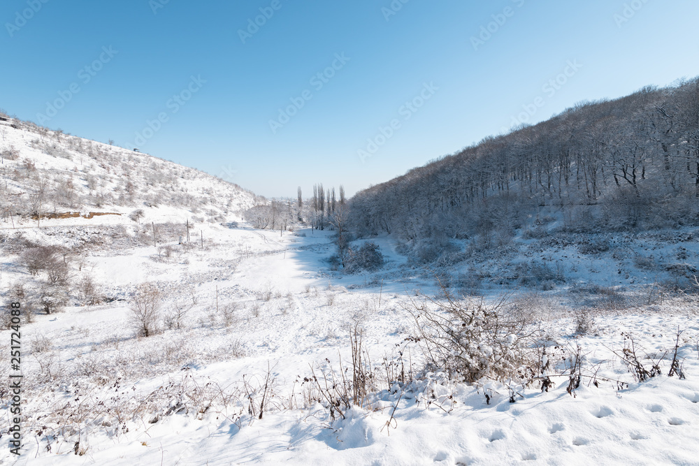 Landscape of a beautiful snow covered winter forest Landscape of a beautiful snow covered winter forest
