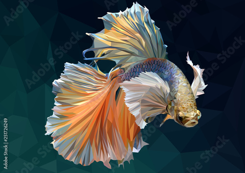 Illustration  low polygonal of betta fish.