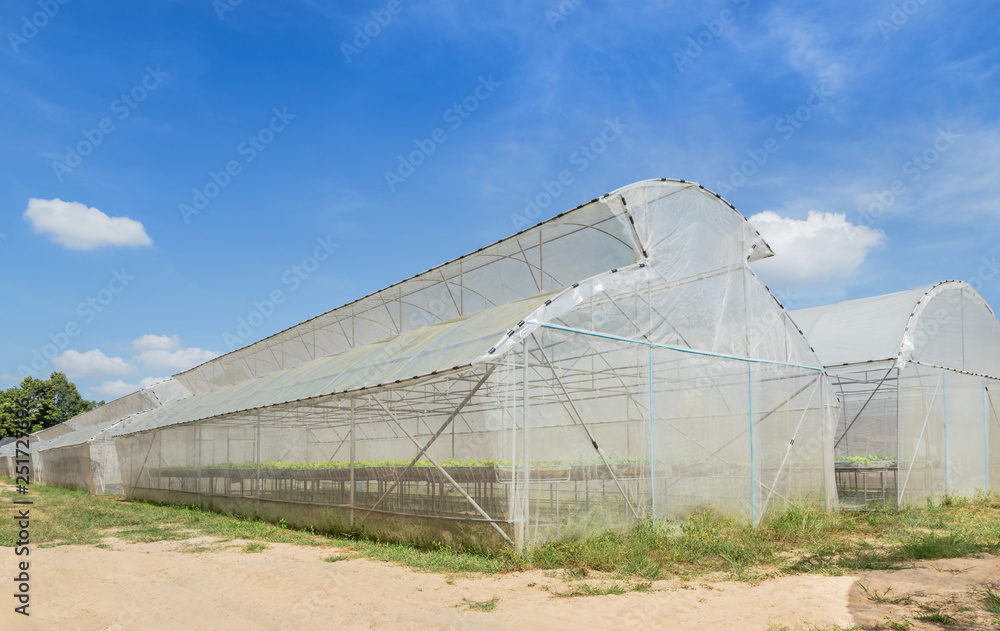 Green house for organic plant growing nursery farm