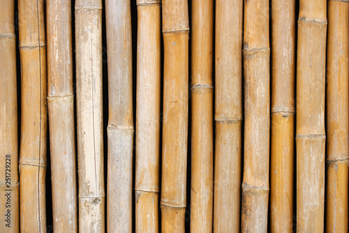 Fototapeta Naklejka Na Ścianę i Meble -  dry bamboo branch wall for texture background