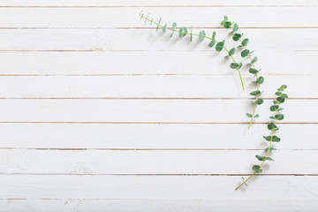 branches of eucalyptus on white wooden background