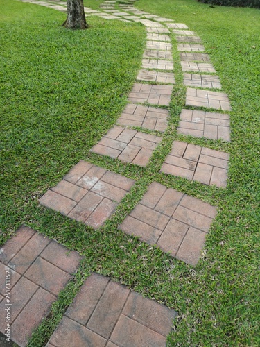 Walkway in the park Brick block placed on the grass pattern material pavement sidewalk pathway passageway alameda